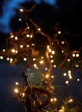 Lyskæde Basis 40 LED m/timer 1,9 meter